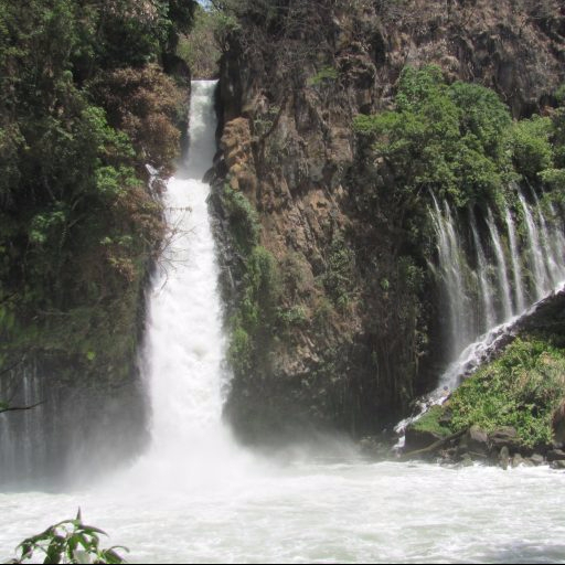 cropped-cropped-img_0507