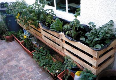 26 MARZO ACTIVIDADES ECONOMICAS.jpg